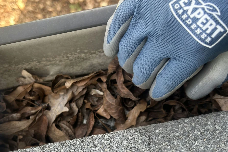 Gutter Cleaning Parker TX