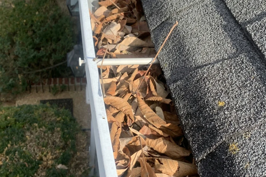 Gutter Cleaning Parker TX