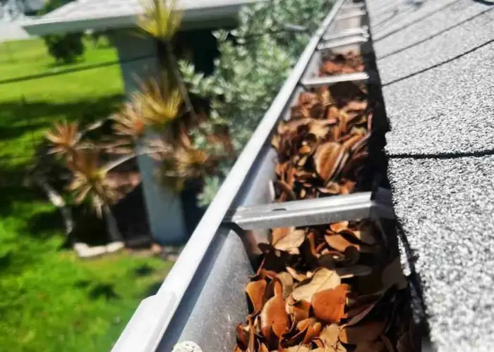 Gutter Cleaning Parker TX home page